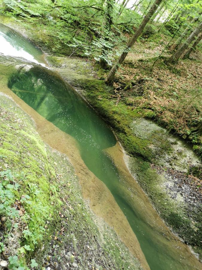 Ferienwohnung Nest Wangen im Allgäu Kültér fotó