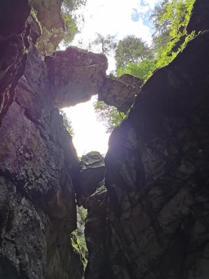 Ferienwohnung Nest Wangen im Allgäu Kültér fotó