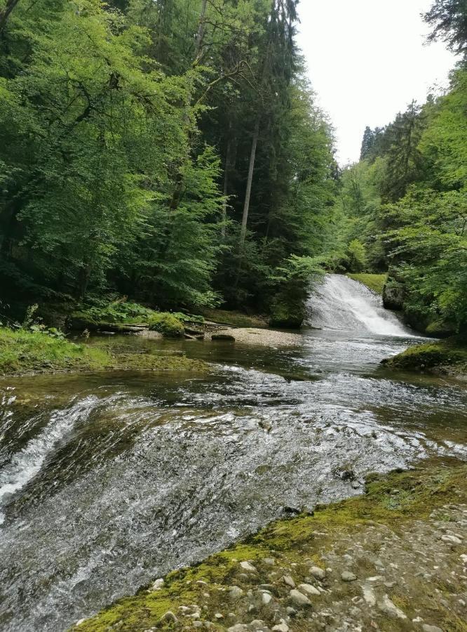 Ferienwohnung Nest Wangen im Allgäu Kültér fotó